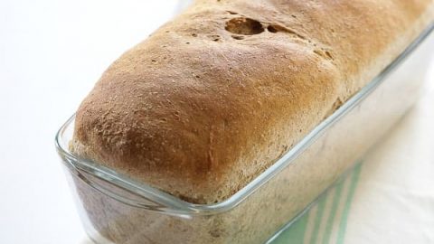 Whole Wheat Bread